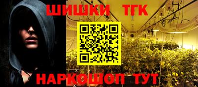 индика Пенза