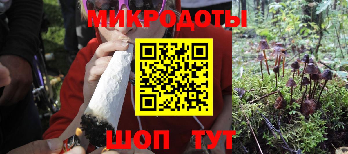 Псилоцибиновые грибы прущие грибы  Вход с VPN  Славгород 