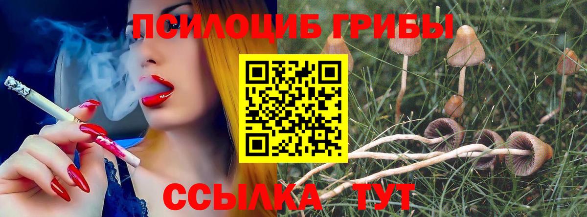 Псилоцибиновые грибы мухоморы Славгород