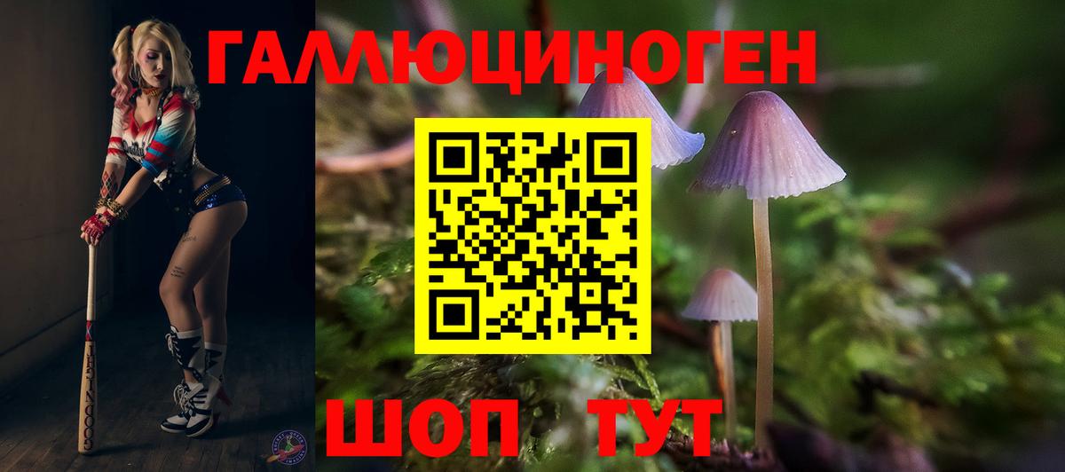 ГАШ  Славгород  Бошки Шишки  Мефедрон  Гашиш  МЕТ  Мефедрон   Вход с VPN 